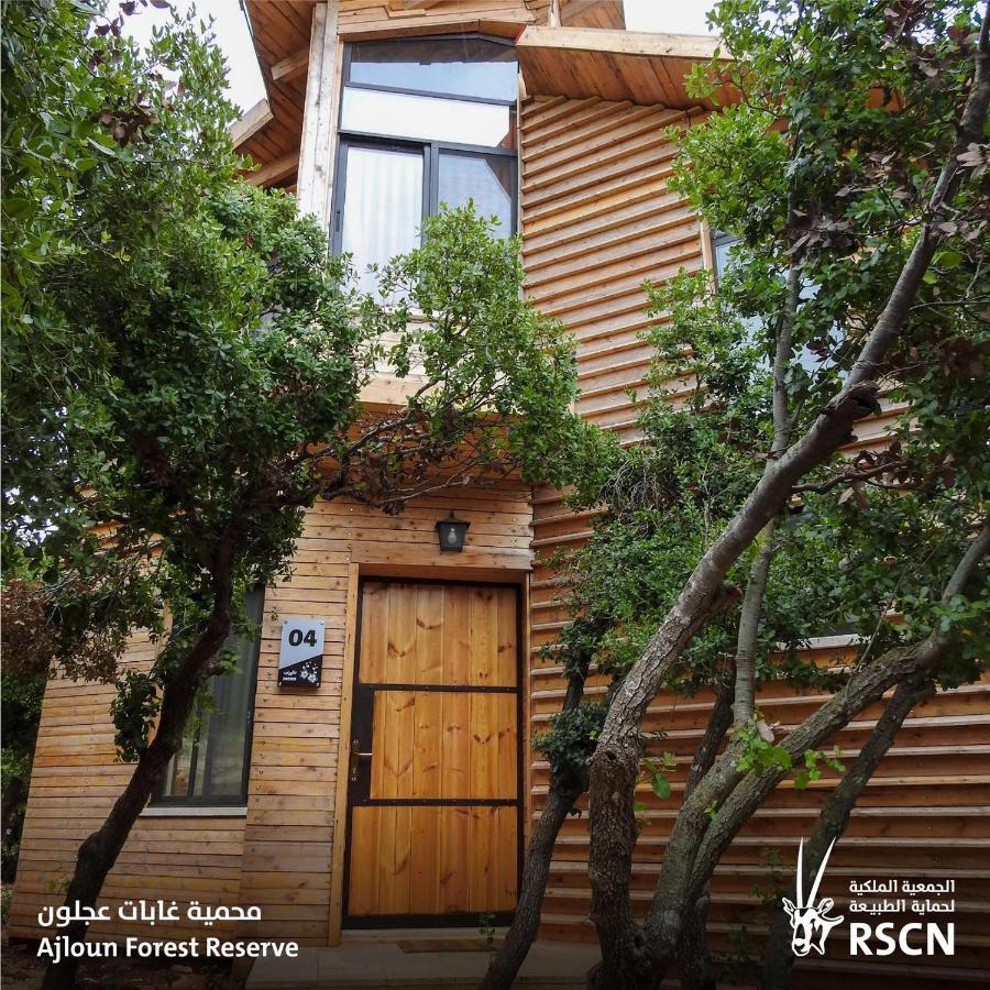 Ajloun Forest Reserve Bagian luar foto
