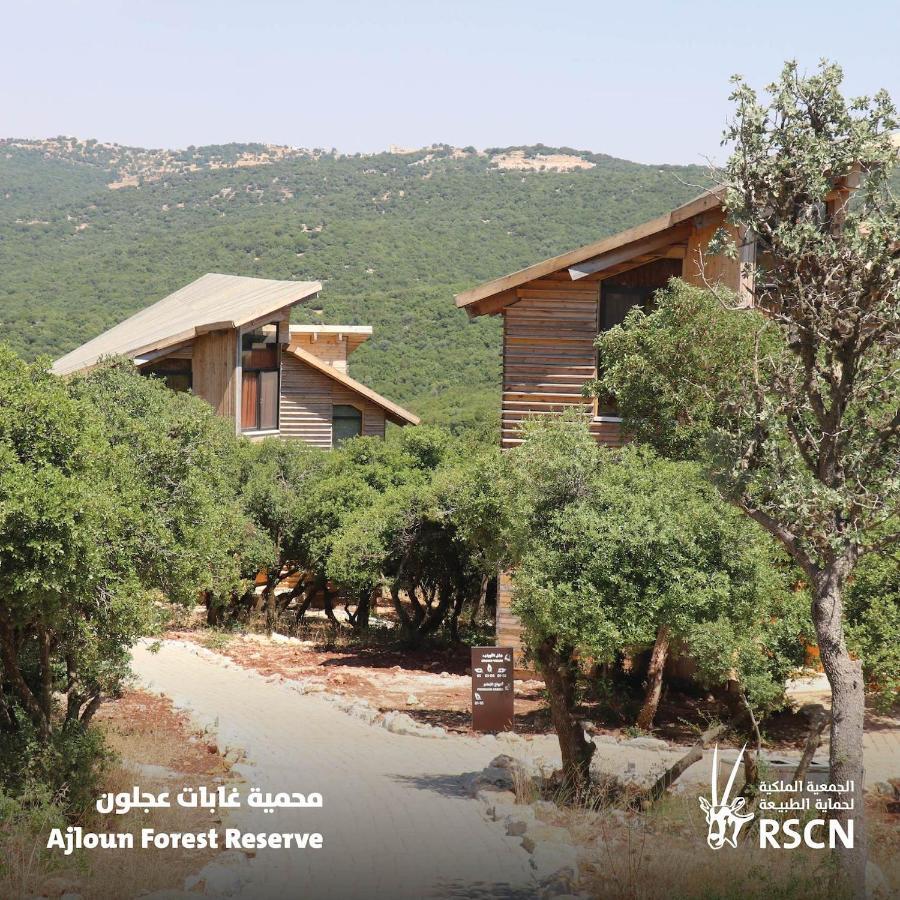 Ajloun Forest Reserve Bagian luar foto