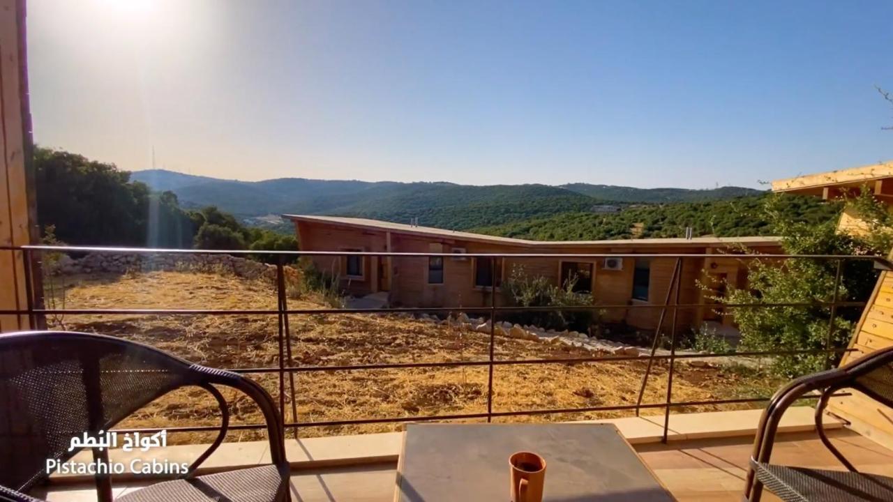 Ajloun Forest Reserve Bagian luar foto