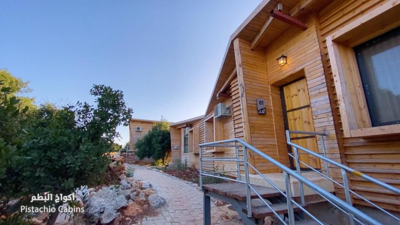 Ajloun Forest Reserve Bagian luar foto