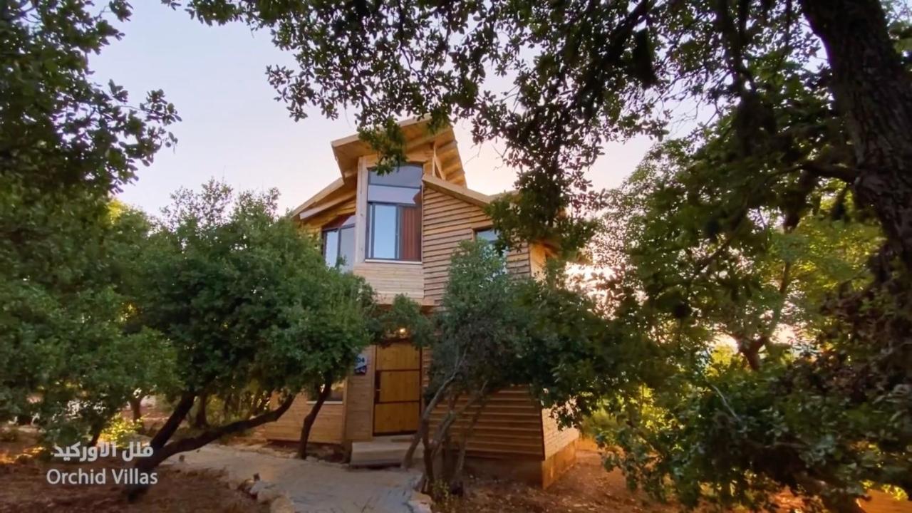 Ajloun Forest Reserve Bagian luar foto