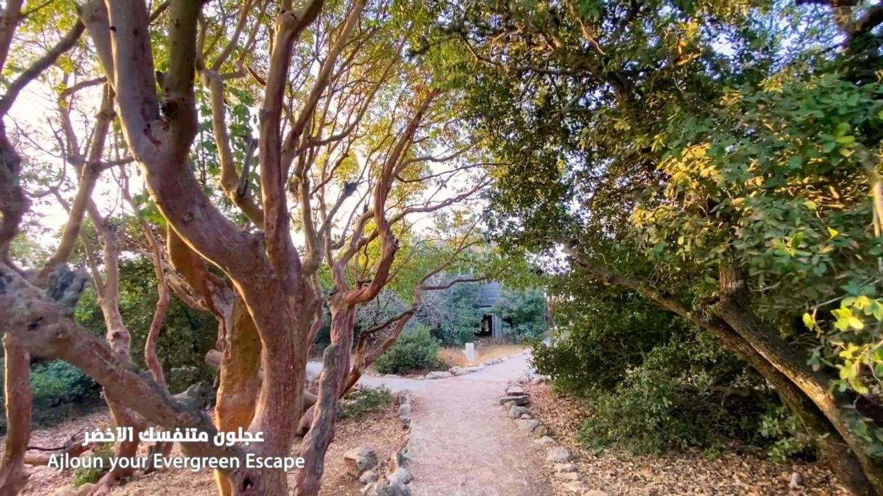 Ajloun Forest Reserve Bagian luar foto