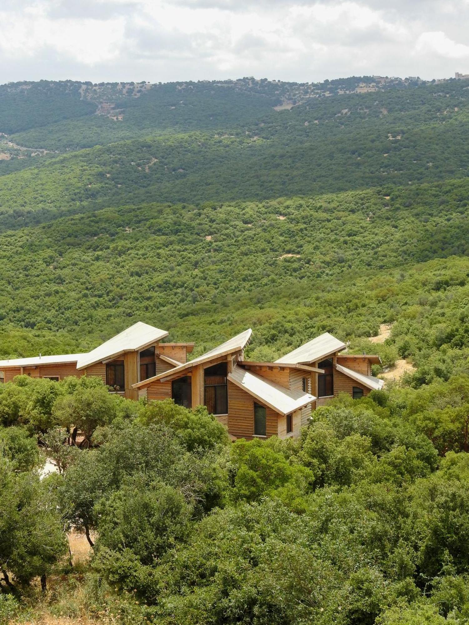 Ajloun Forest Reserve Bagian luar foto