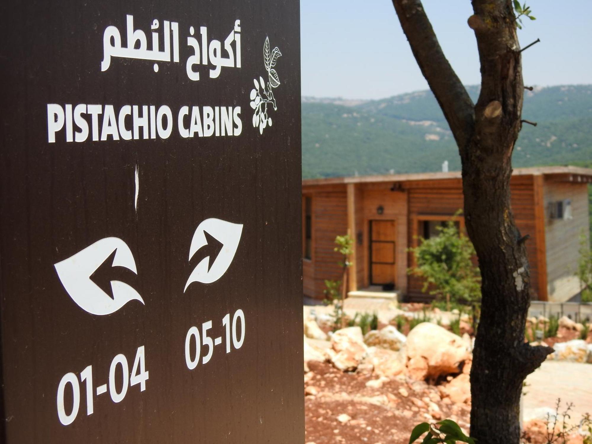 Ajloun Forest Reserve Bagian luar foto