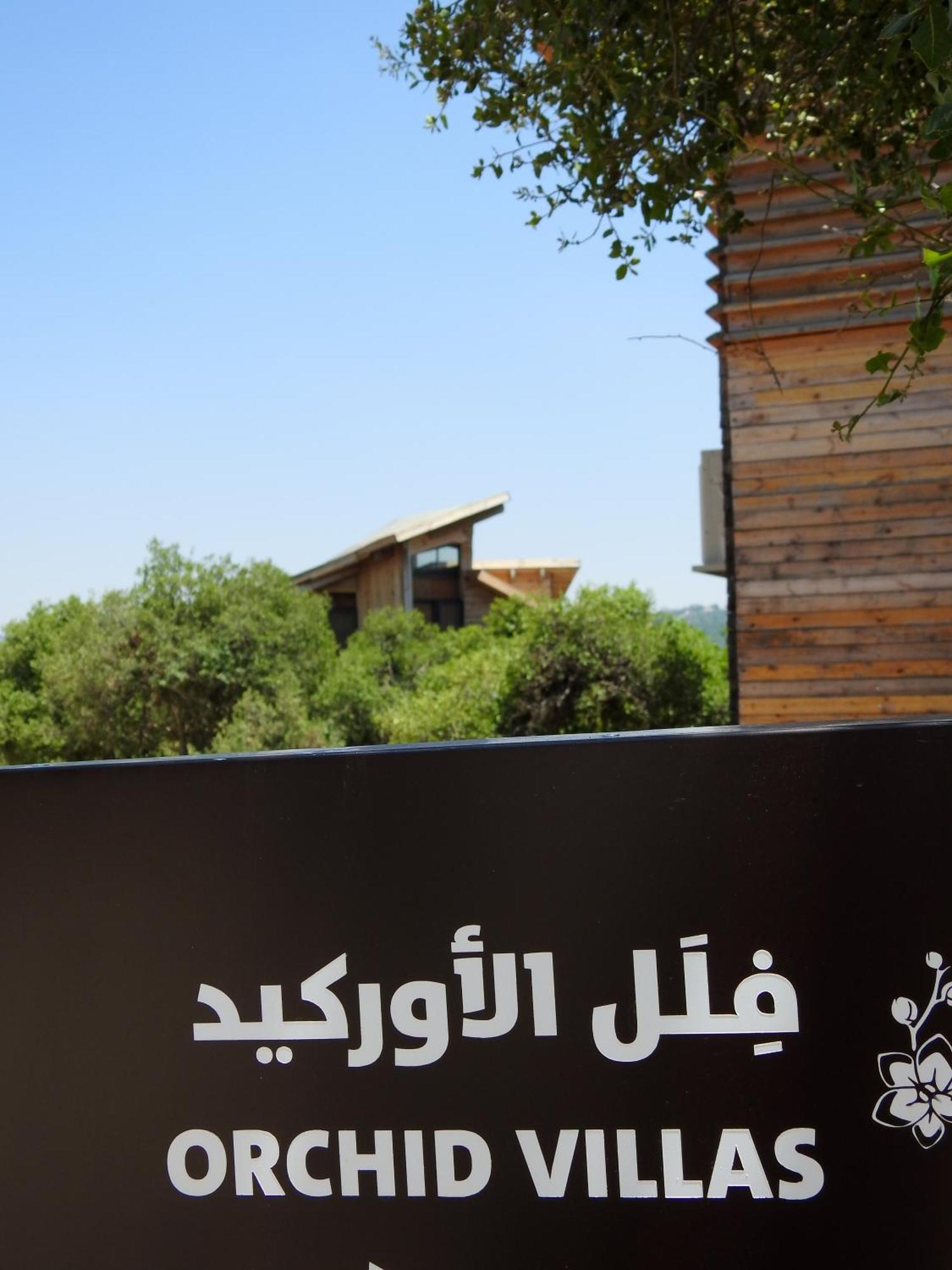 Ajloun Forest Reserve Bagian luar foto