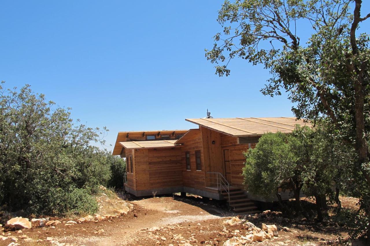 Ajloun Forest Reserve Bagian luar foto