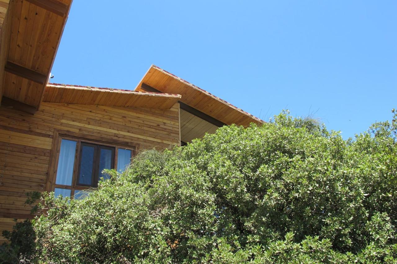 Ajloun Forest Reserve Bagian luar foto