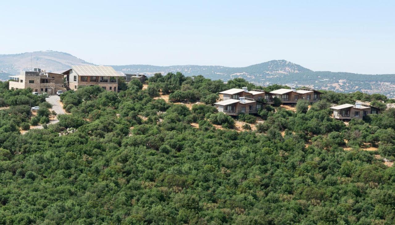 Ajloun Forest Reserve Bagian luar foto
